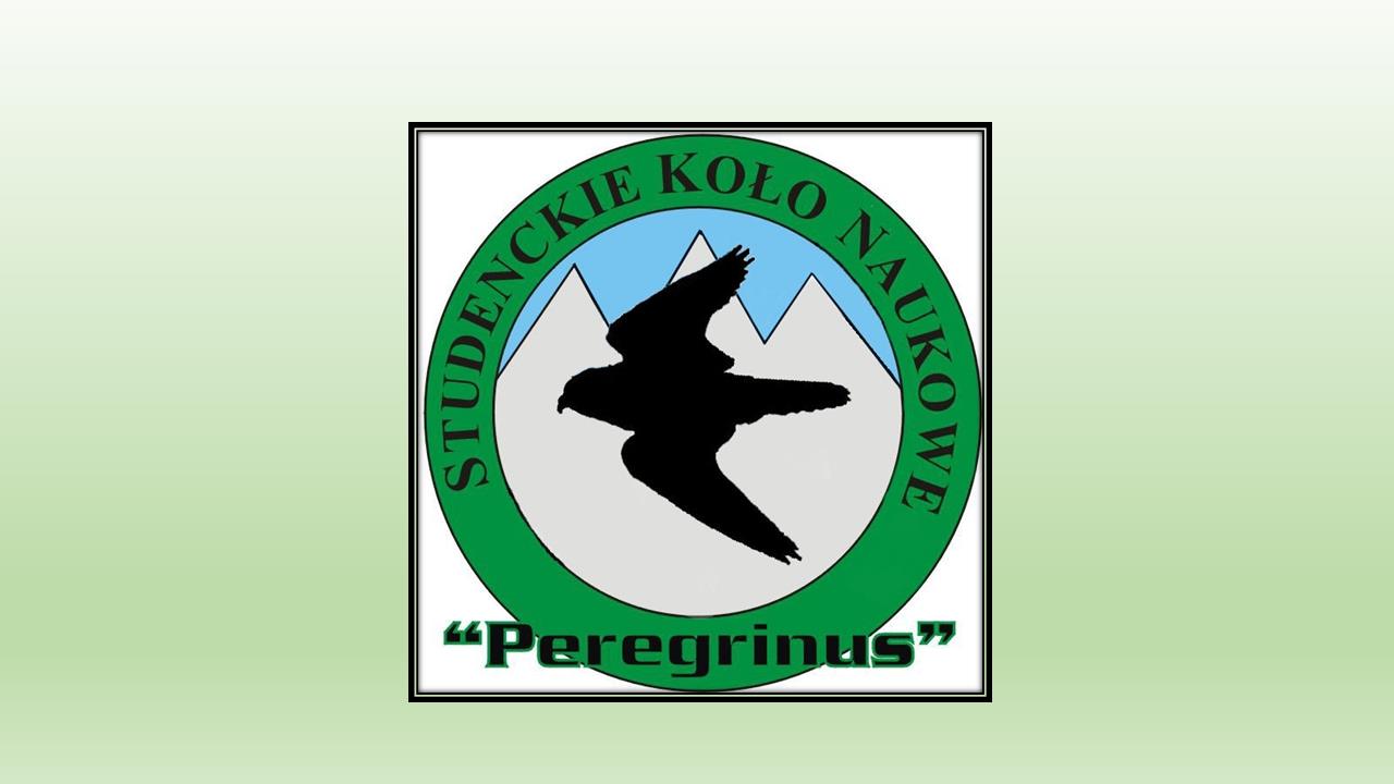 Logos
